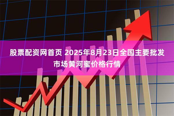 股票配资网首页 2025年8月23日全国主要批发市场黄河蜜价格行情