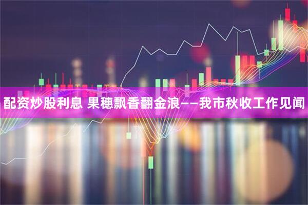 配资炒股利息 果穗飘香翻金浪——我市秋收工作见闻