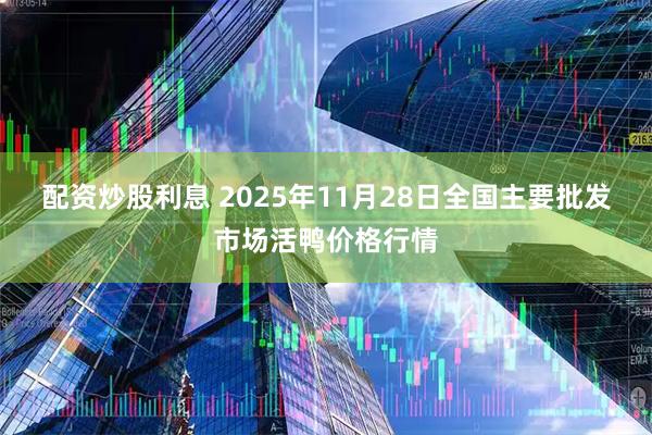 配资炒股利息 2025年11月28日全国主要批发市场活鸭价格行情